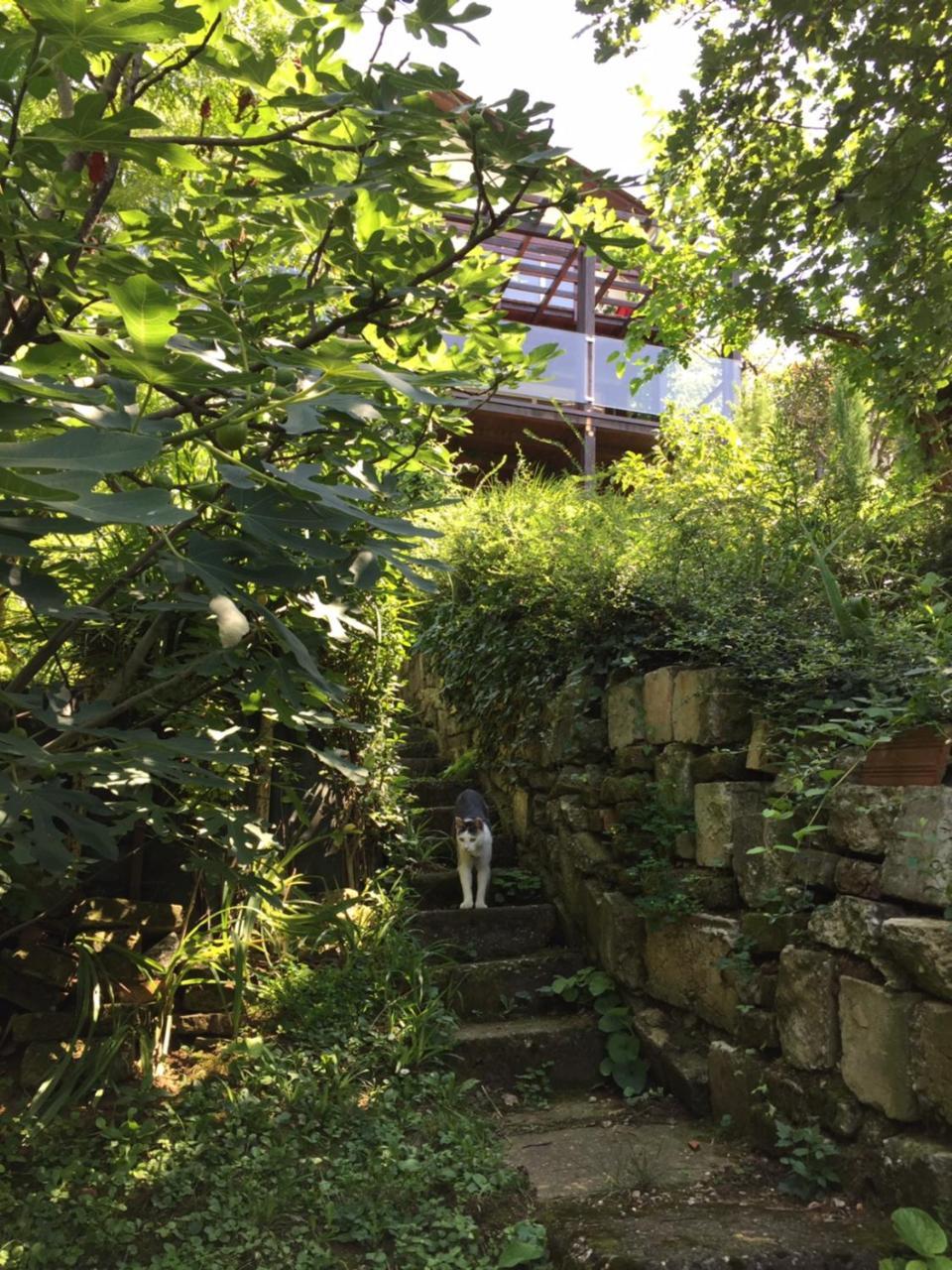 Pergola House In A Green Oasis With Fantastic View Petrovaradin Buitenkant foto