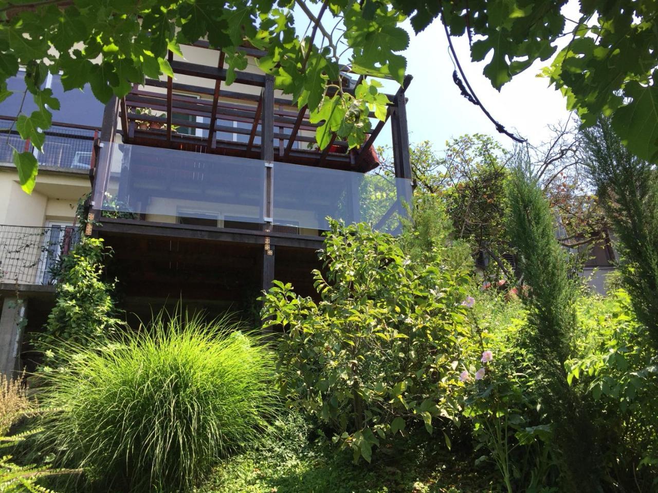 Pergola House In A Green Oasis With Fantastic View Appartement Petrovaradin Buitenkant foto