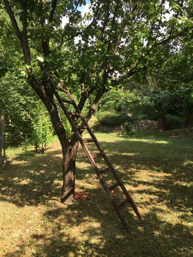 Pergola House In A Green Oasis With Fantastic View Petrovaradin Buitenkant foto