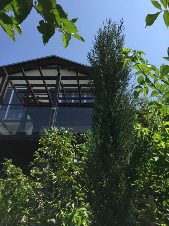 Pergola House In A Green Oasis With Fantastic View Petrovaradin Buitenkant foto